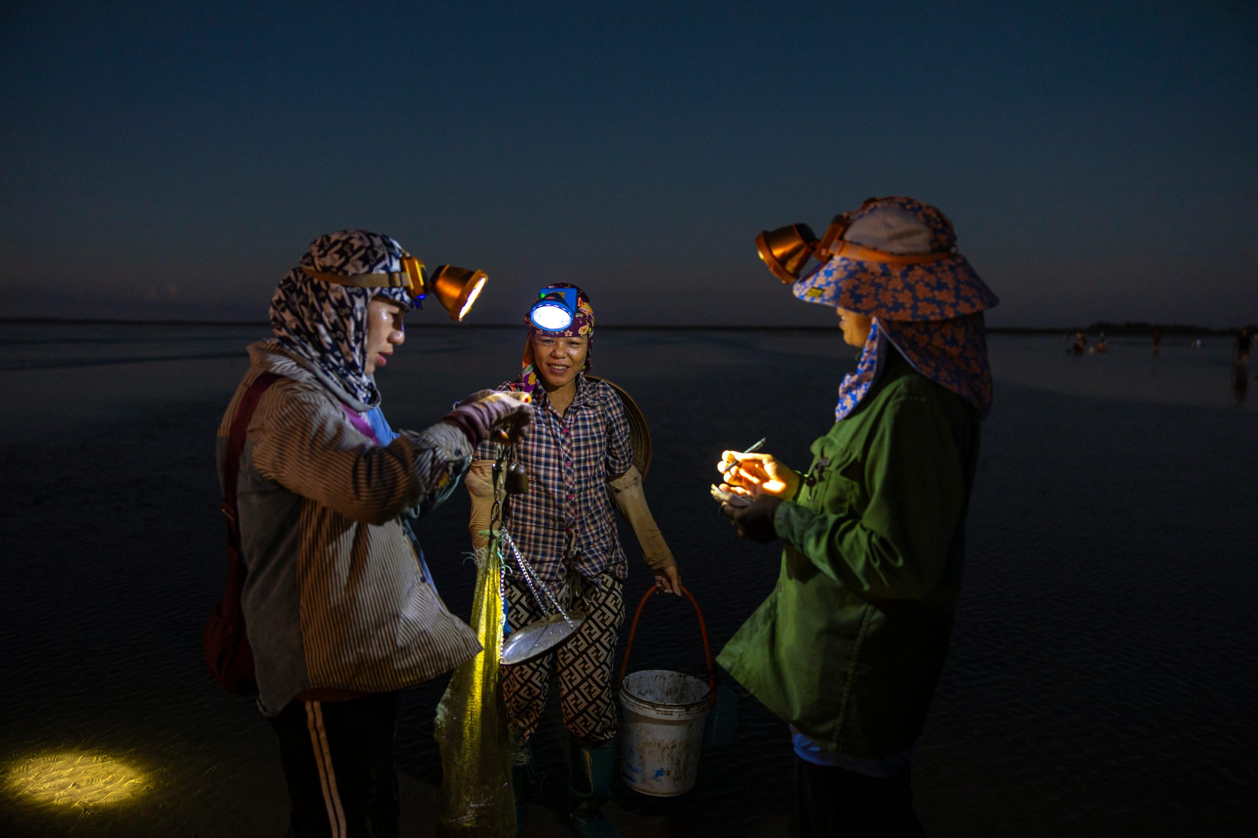 Pêche à pied en Bretagne : spots, techniques et réglementation