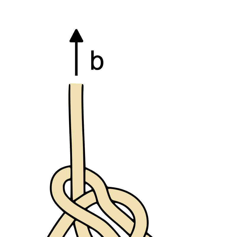 Diagramme du nœud de chaise (bowline)